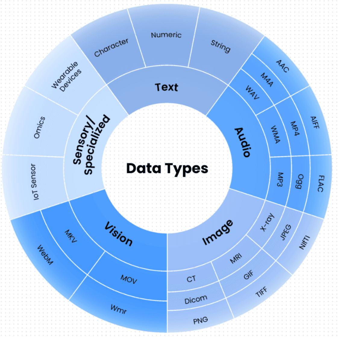 A circle diagram with the five data types, each with devices and data formats common to that data type (e.g., image data includes X-ray and MRI, JPEG and PNG).